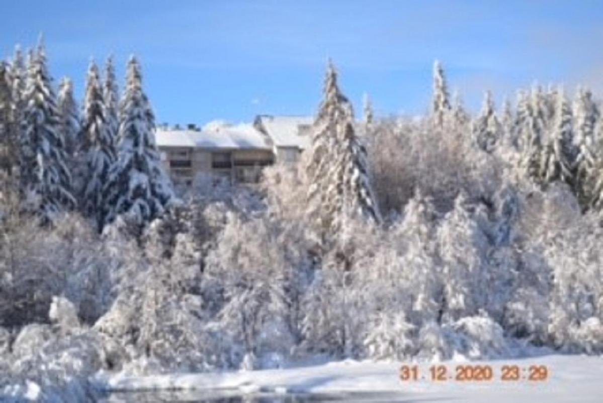 Lo Vedelier D'Aubrac Appartement Laguiole Buitenkant foto