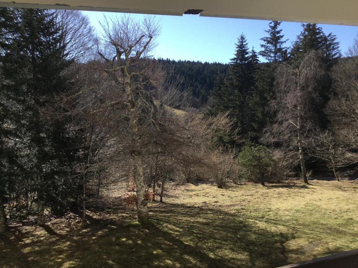 Lo Vedelier D'Aubrac Appartement Laguiole Buitenkant foto