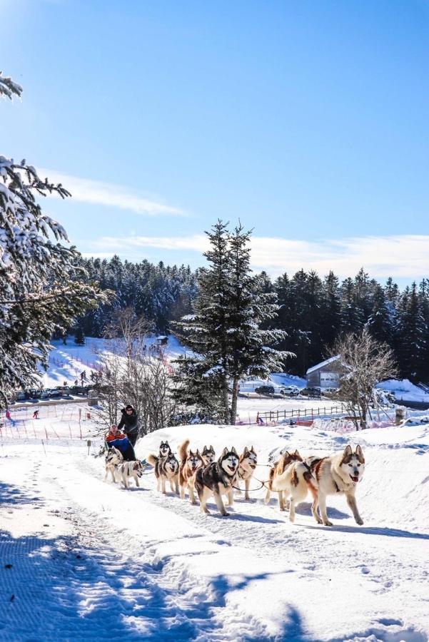 Lo Vedelier D'Aubrac Appartement Laguiole Buitenkant foto