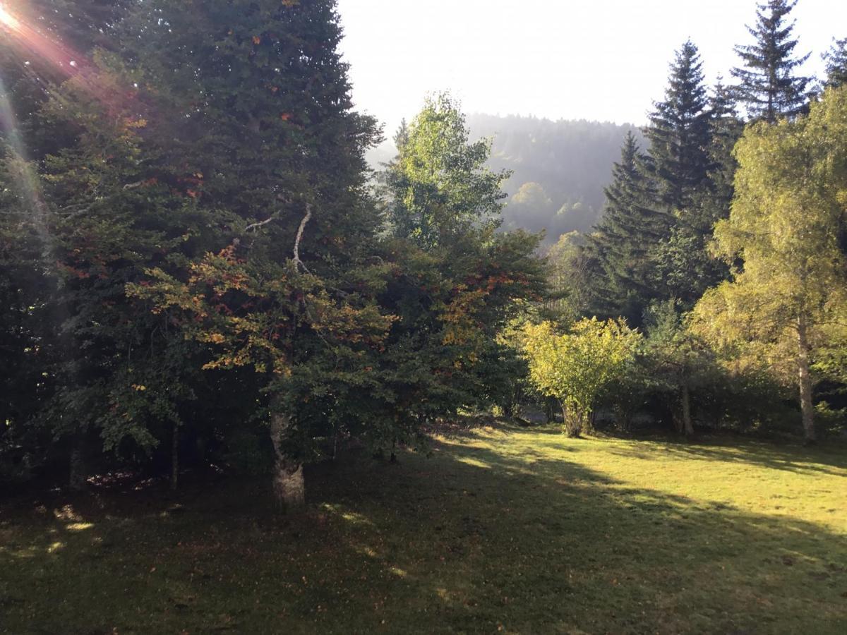 Lo Vedelier D'Aubrac Appartement Laguiole Buitenkant foto