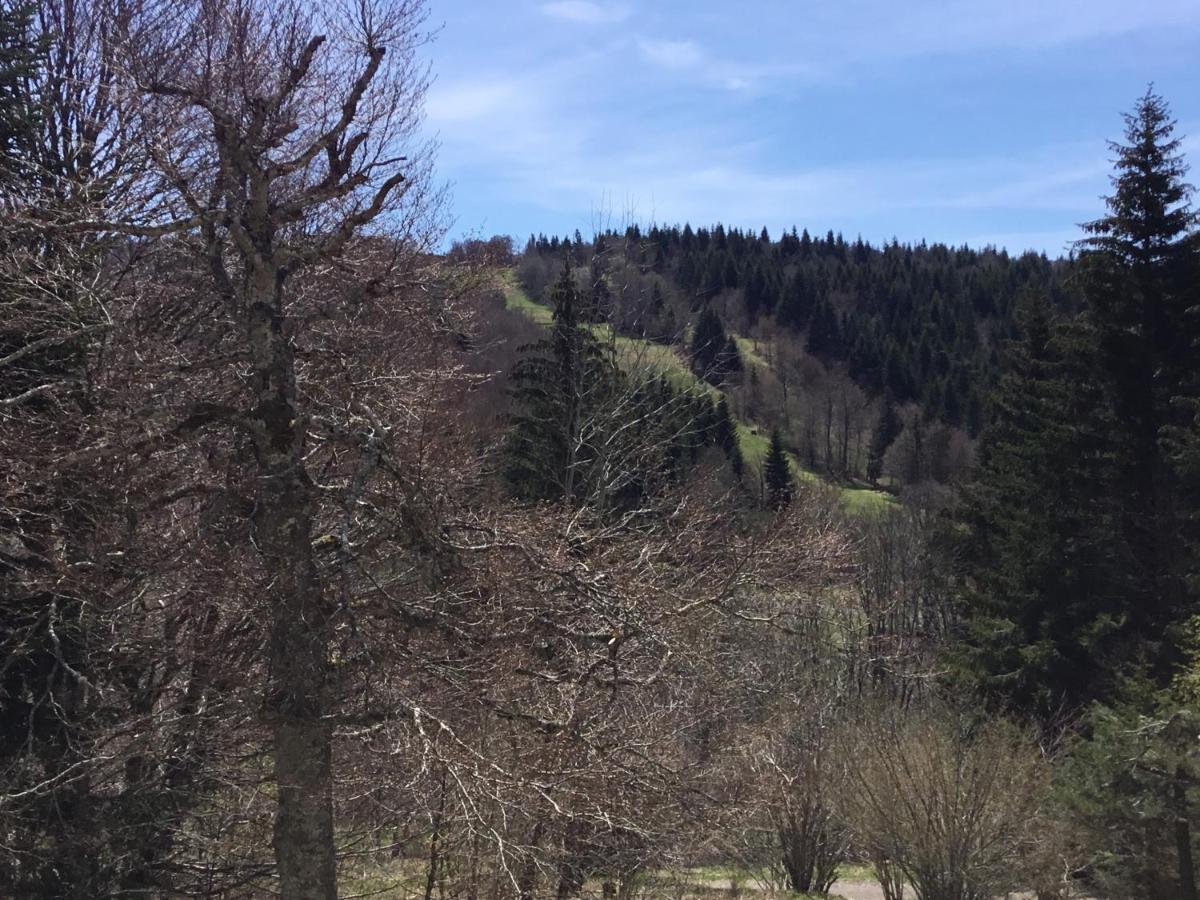 Lo Vedelier D'Aubrac Appartement Laguiole Buitenkant foto