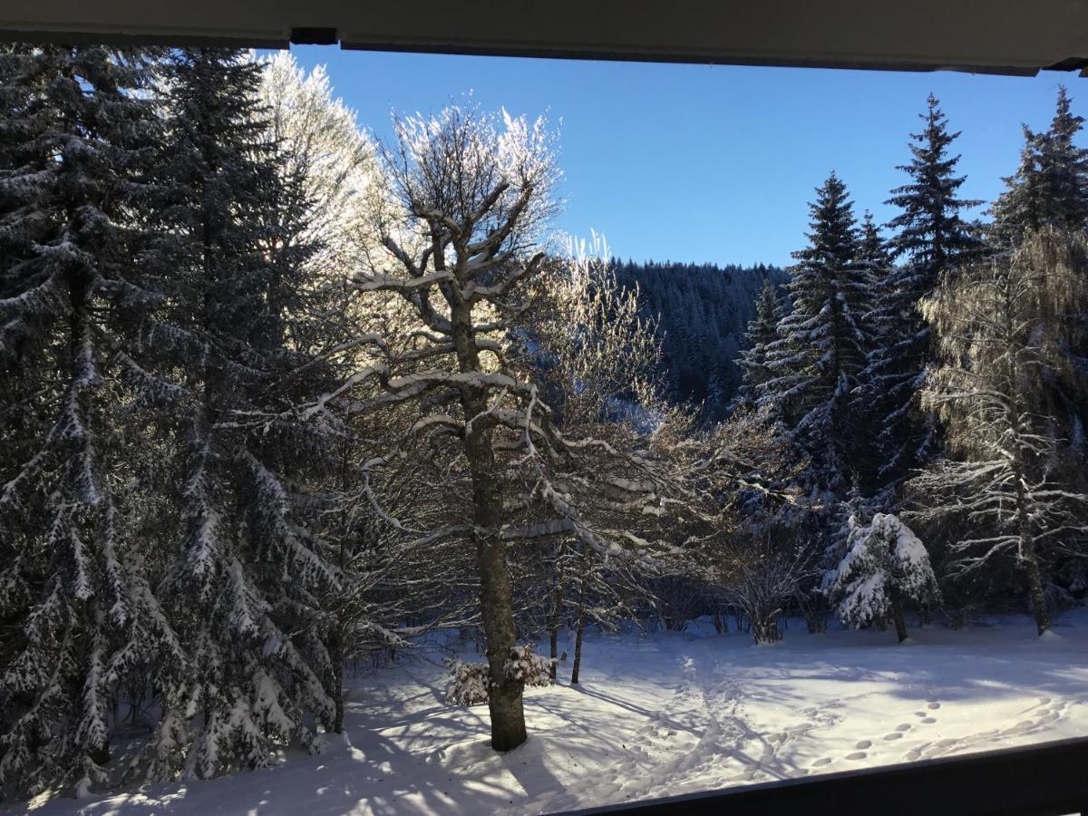 Lo Vedelier D'Aubrac Appartement Laguiole Buitenkant foto