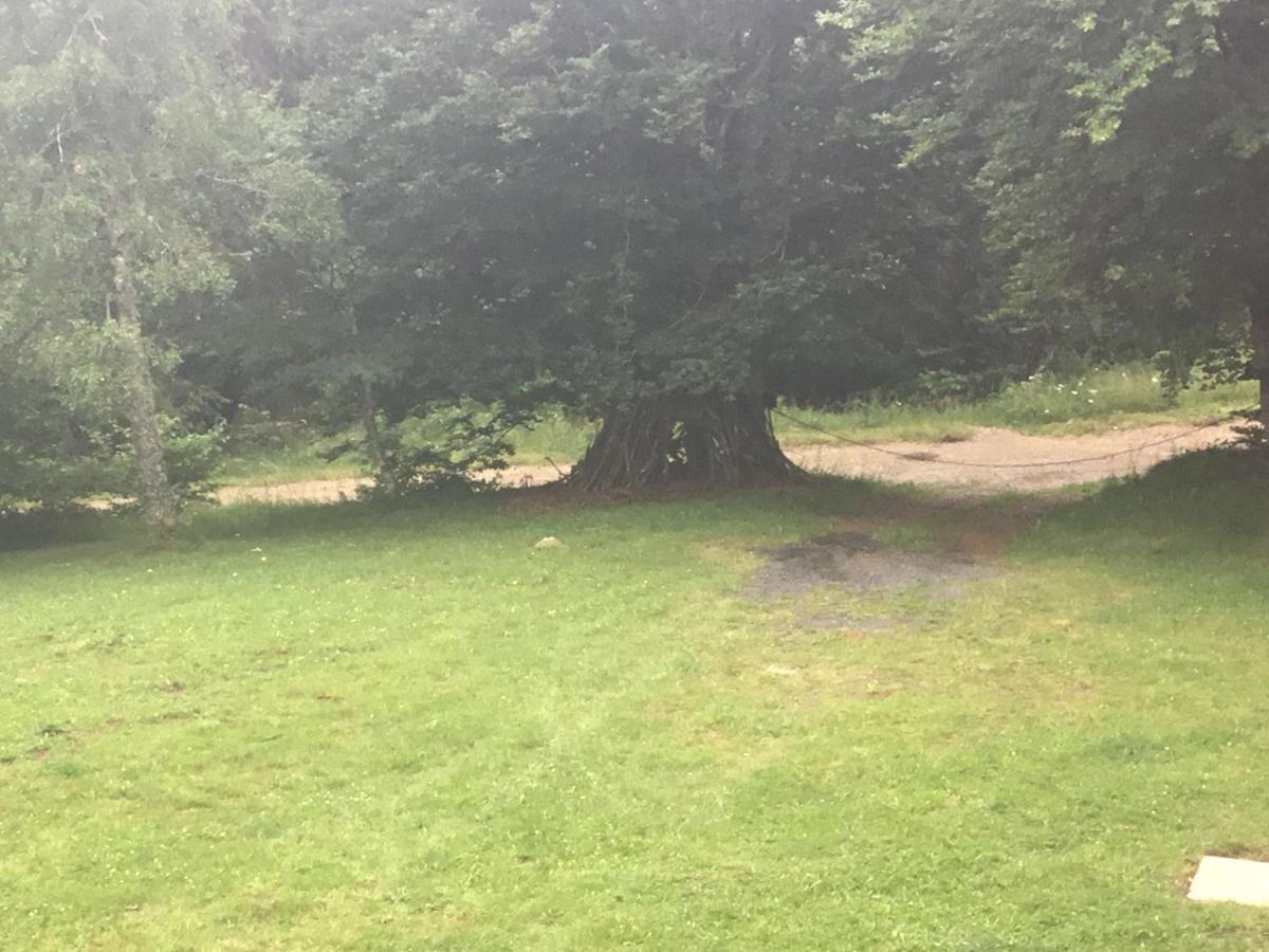 Lo Vedelier D'Aubrac Appartement Laguiole Buitenkant foto