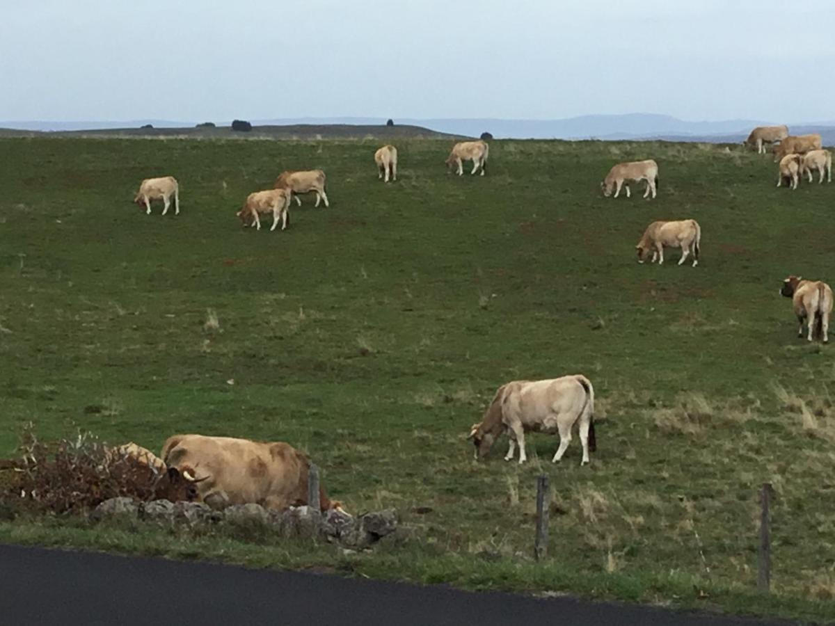 Lo Vedelier D'Aubrac Appartement Laguiole Buitenkant foto